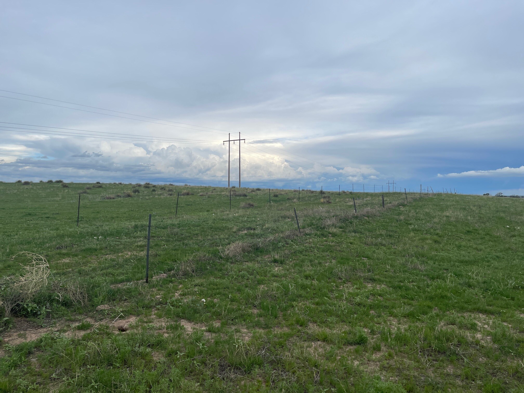 580 Co 7711, Devine, TX 78016 Land for Sale