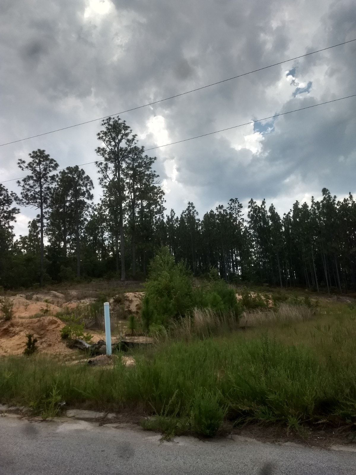 Pinnacle Place Lots, Hephzibah, GA for sale Primary Photo- Image 1 of 1