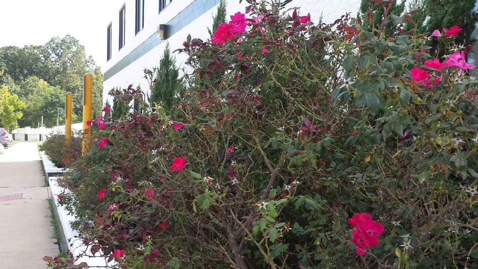 11441 Robertson Dr, Manassas, VA for lease - Building Photo - Image 3 of 4