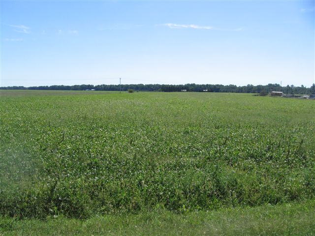 4817 Harrison Ferry Rd, Hurlock, MD for sale Primary Photo- Image 1 of 1