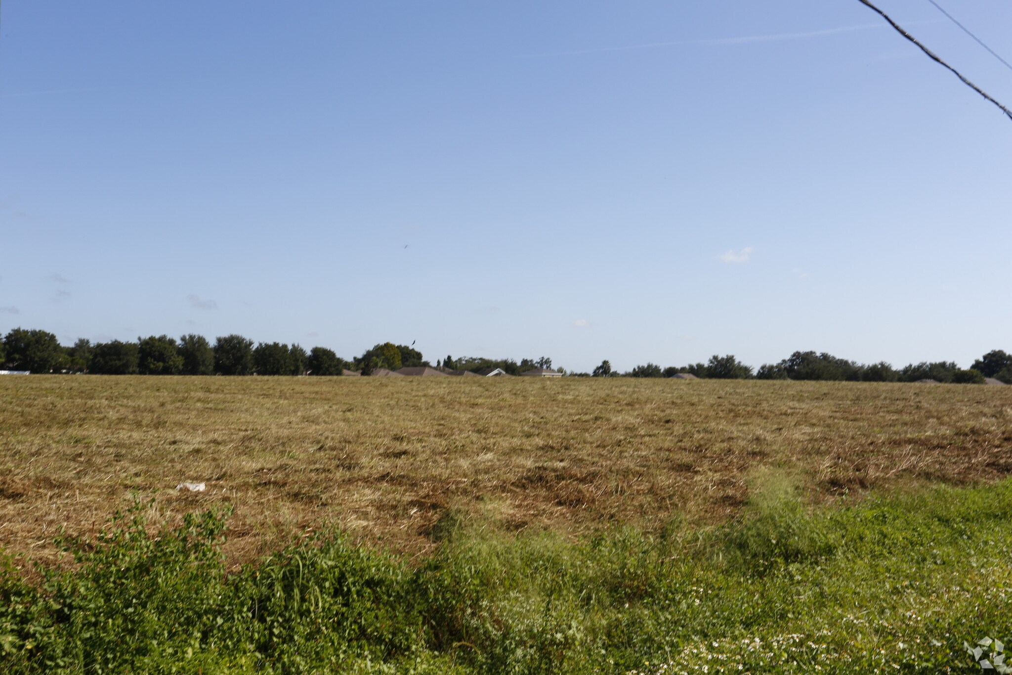 1005 N Kingsway Rd, Seffner, FL for sale Primary Photo- Image 1 of 1