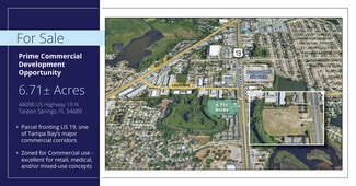 More details for 44098 US Highway 19 N, Tarpon Springs, FL - Land for Sale