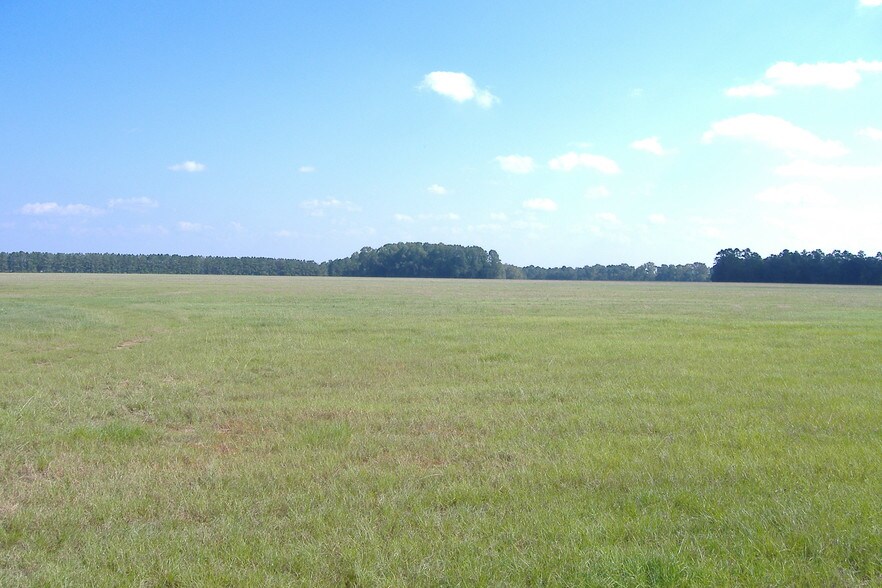 Bill Hodges Rd, Claxton, GA 30417