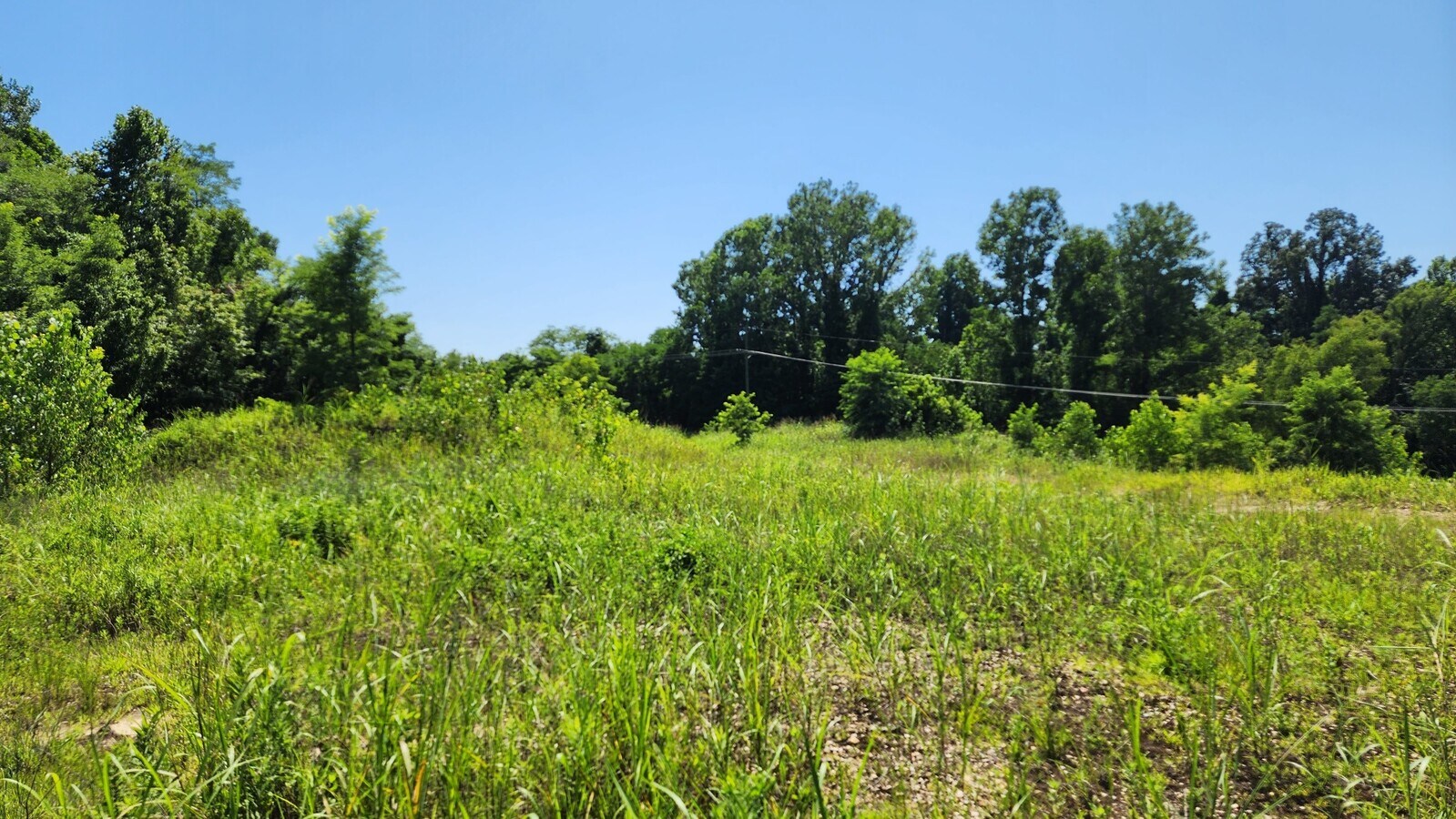 000 Hwy 61 North, Vicksburg, MS 39183 140 Acres Hwy 61 North