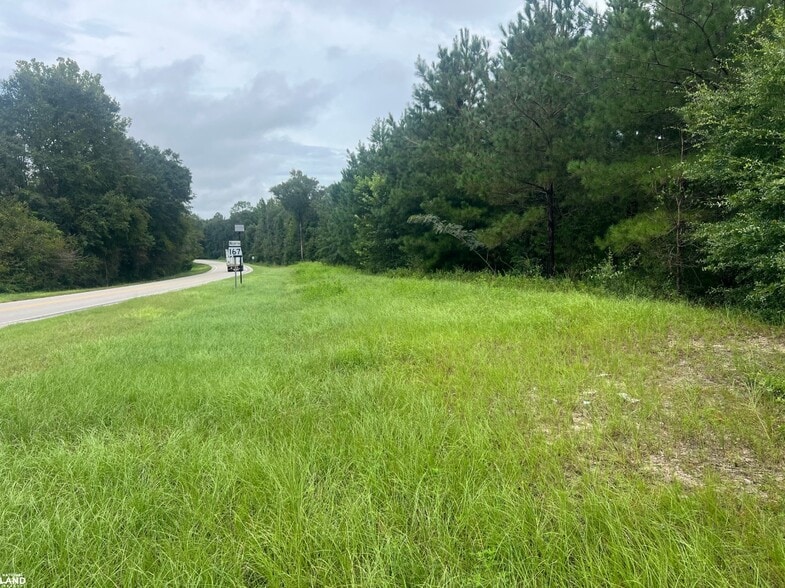 0 State 167 hwy, Hartford, AL for sale - Building Photo - Image 3 of 7