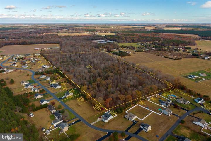 50 acres Mt Joy, Millsboro, DE for sale - Building Photo - Image 1 of 3