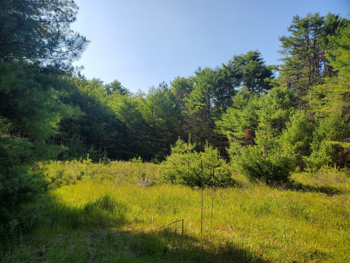 Route 42, Forestburgh, NY 12777 Land for Sale