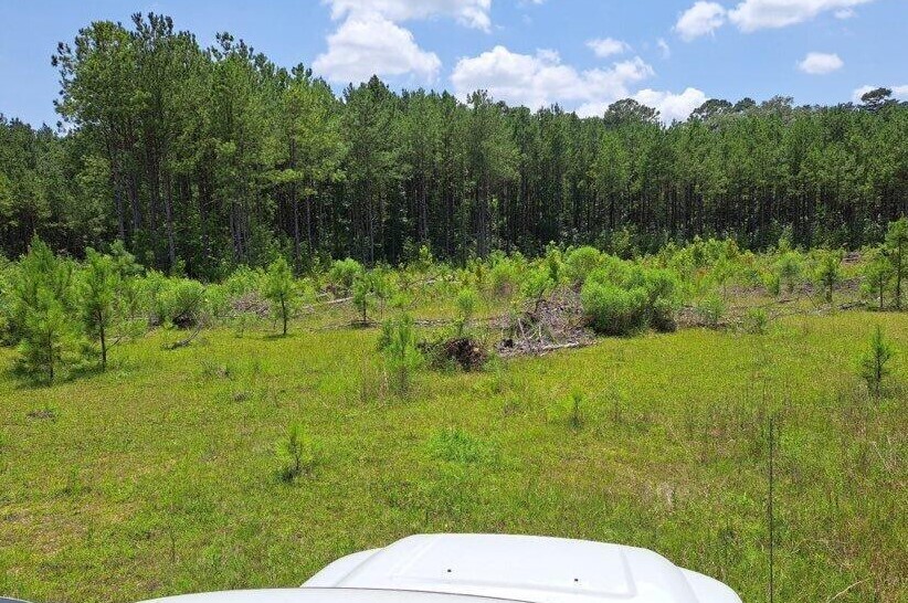 00 US 49 Hwy, Mendenhall, MS for sale - Primary Photo - Image 1 of 2