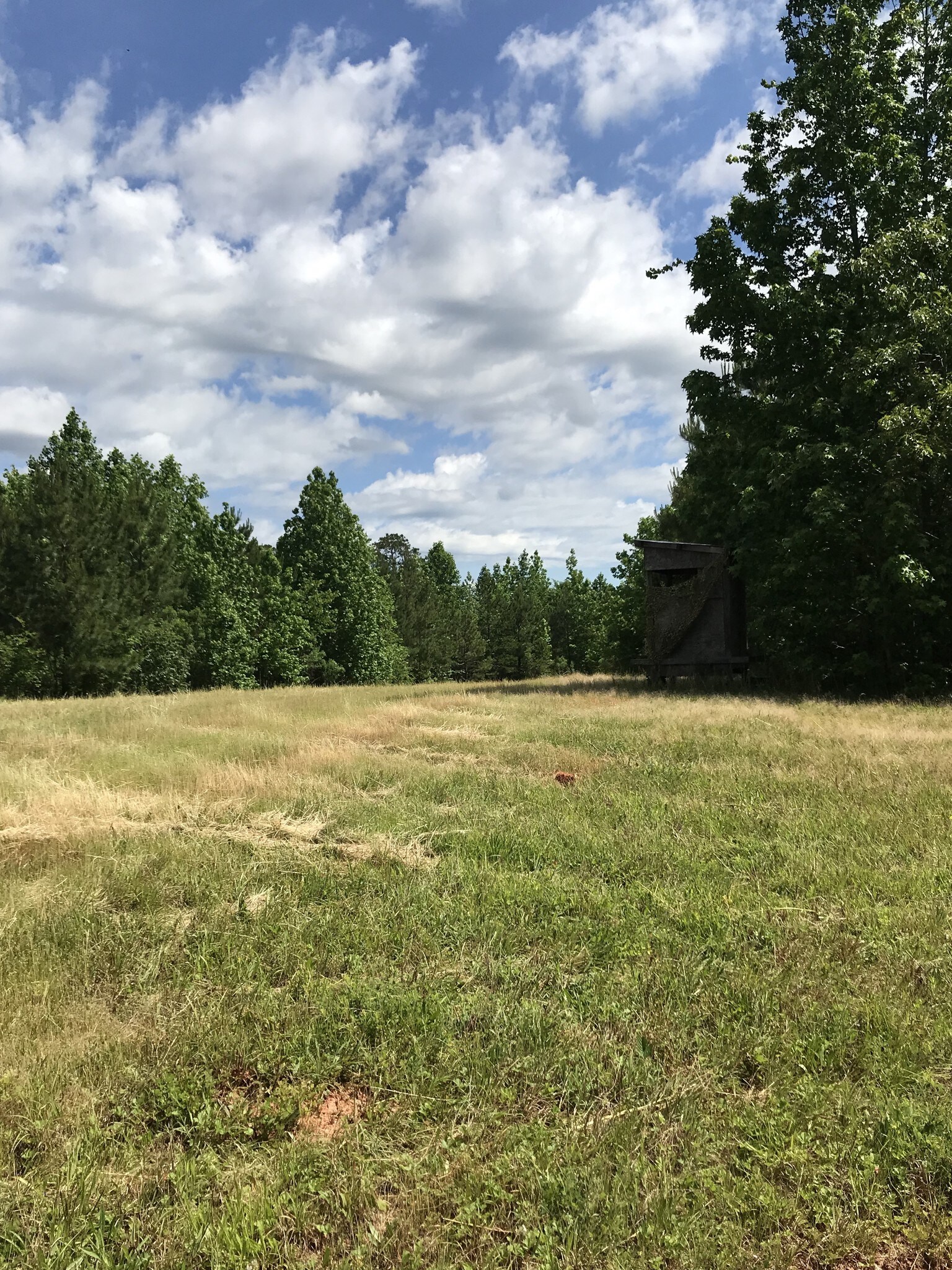 1009 Lee Poss Rd, Rayle, GA for sale Primary Photo- Image 1 of 1