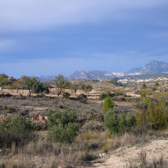 Land in Abanilla for sale - Building Photo - Image 3 of 21