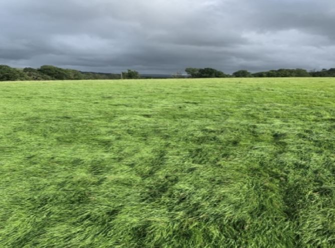 Land Bwlarth Derwydd Rd, Ammanford for sale - Primary Photo - Image 1 of 1