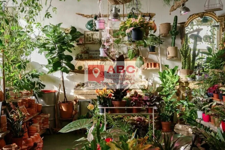 Retail in Argelès-sur-Mer for lease - Interior Photo - Image 1 of 3