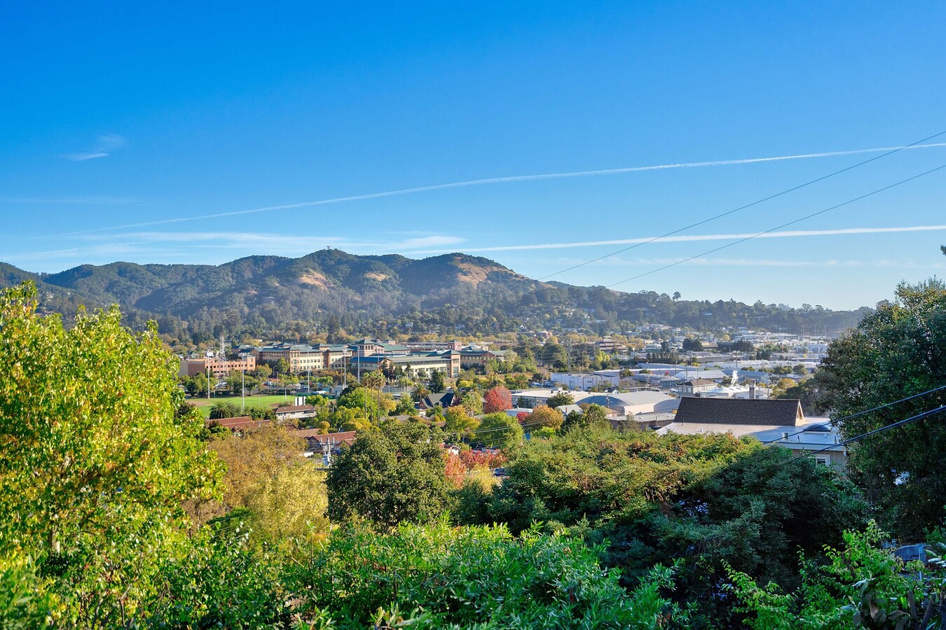 101 Martens Blvd, San Rafael, CA 94901 | LoopNet