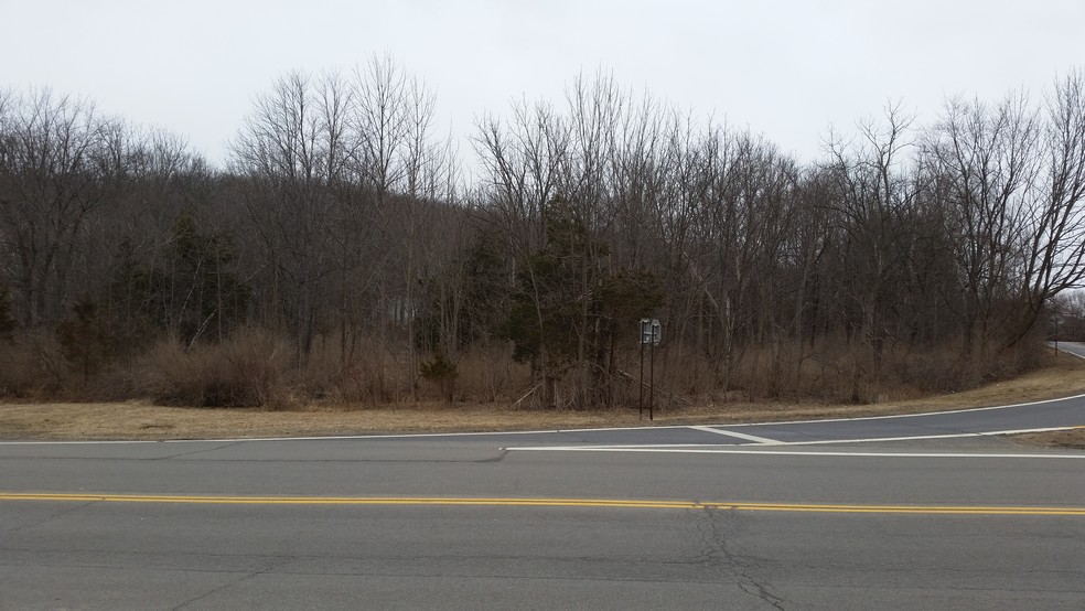 0 Route 55, Lagrangeville, NY for sale - Building Photo - Image 1 of 1