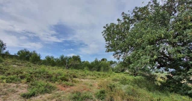 Land in Llíria for sale - Building Photo - Image 3 of 9