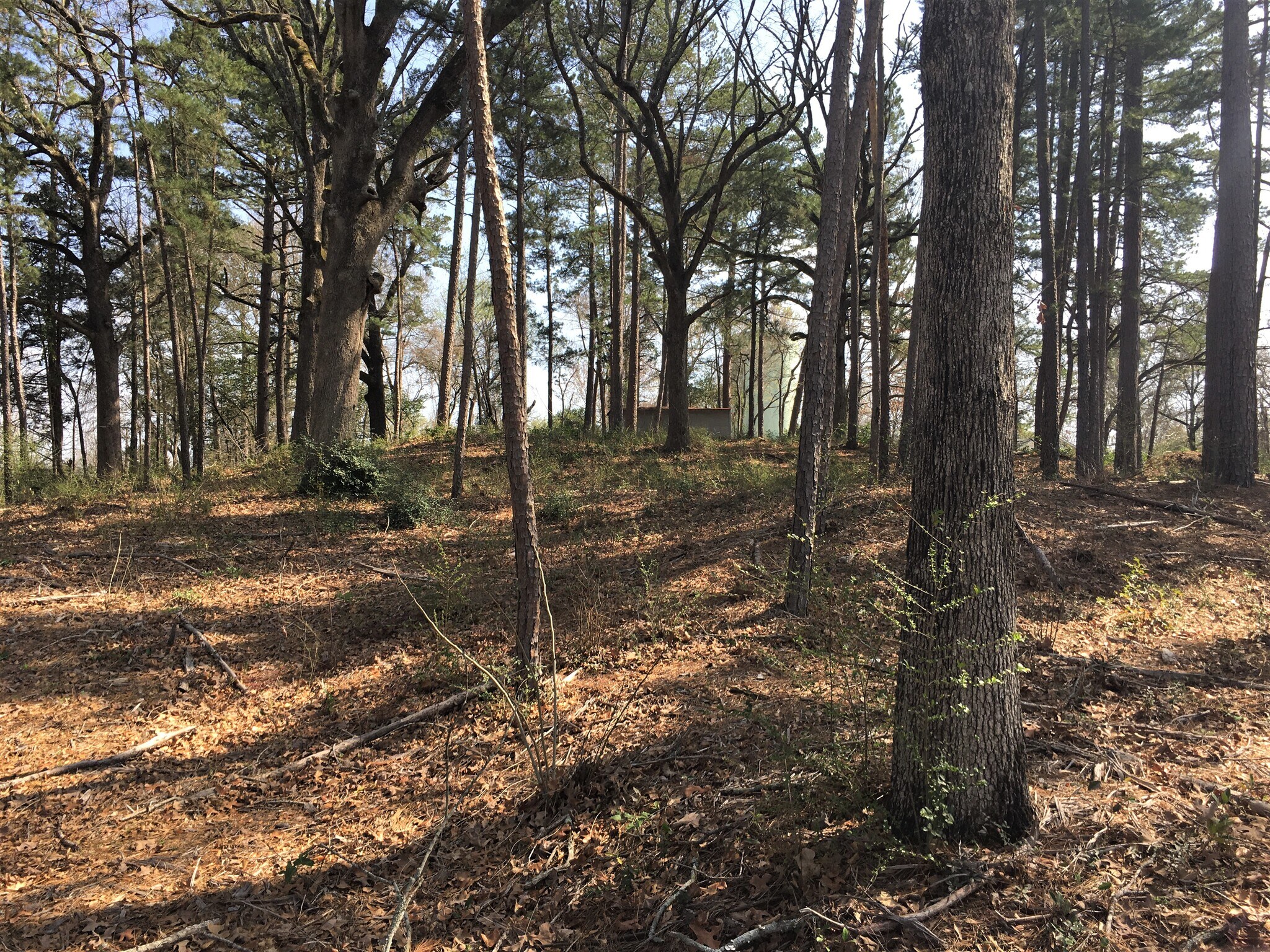 806 S Commerce St, Overton, TX 75684 Land for Sale