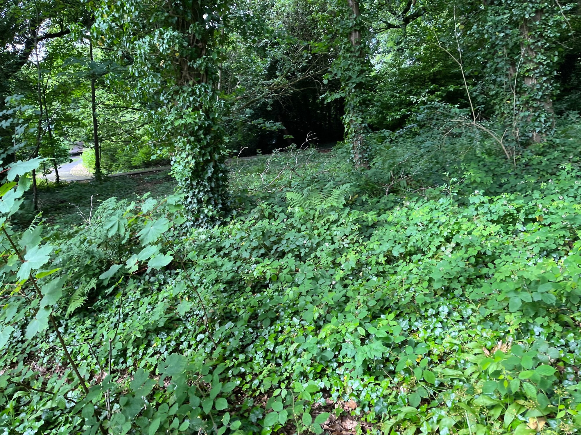 Belfast Rd, Antrim for sale Building Photo- Image 1 of 1