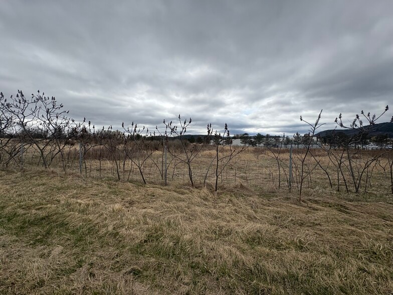 L6.111 L6.111 NYS RTE 74 Rt, Ticonderoga, NY for sale - Aerial - Image 3 of 3