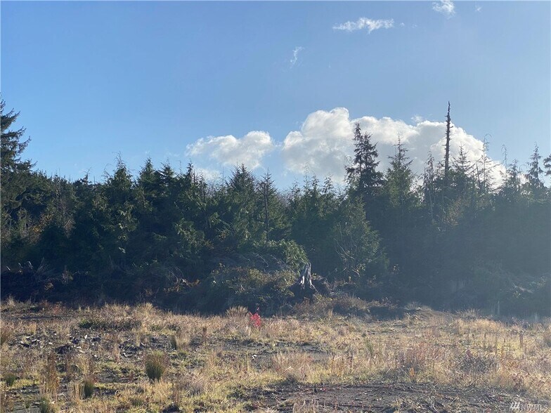 34 Tinders, Ocean City, WA 98569