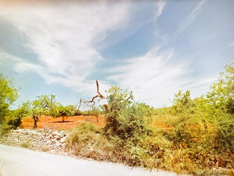 Land in Manacor, Islas Baleares for sale - Building Photo - Image 1 of 2