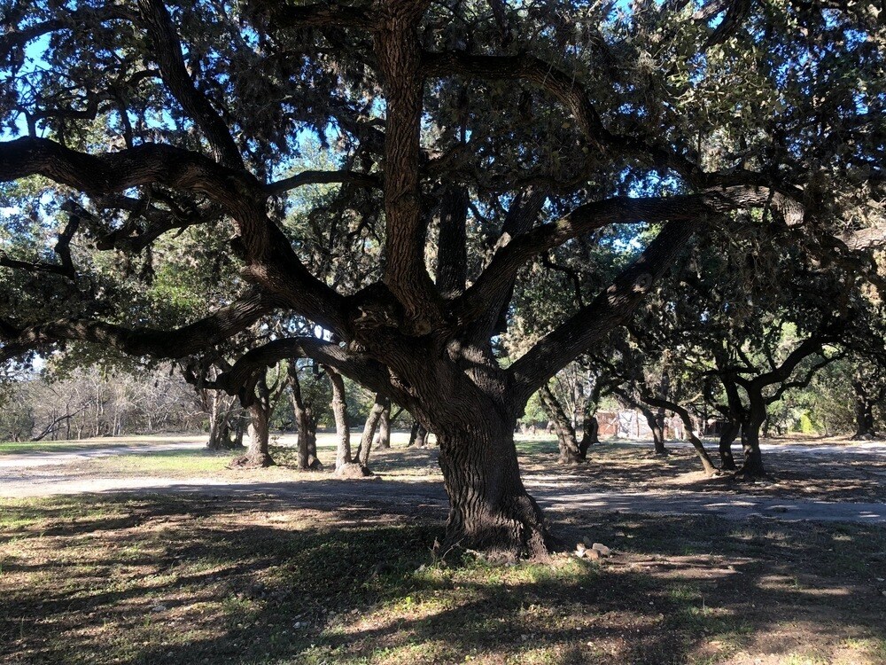 Bulverde Road, Bulverde, TX for sale Primary Photo- Image 1 of 1