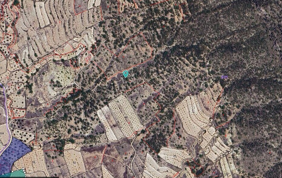 Land in MONÒVER for sale - Building Photo - Image 2 of 2