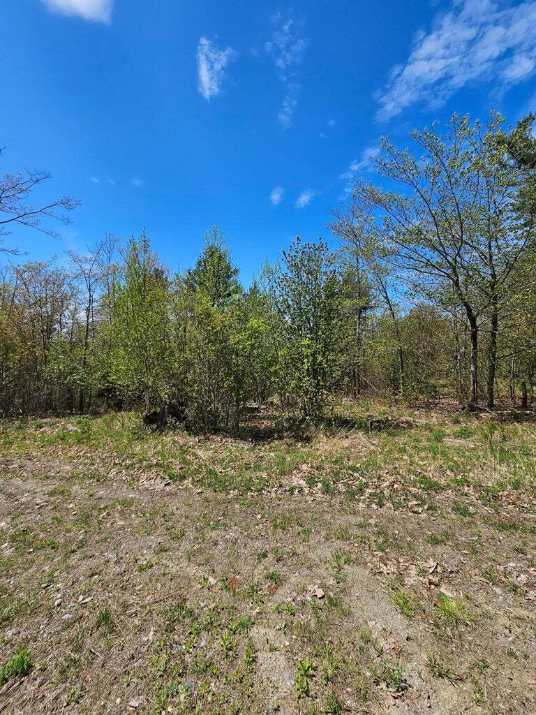 Betts Rd, Orrington, ME for sale Primary Photo- Image 1 of 1