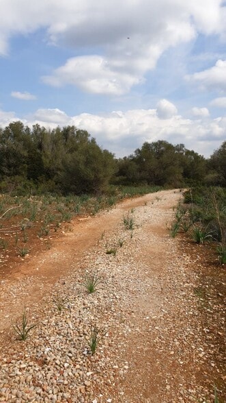 Ma, 6014, Llucmajor, Islas Baleares for sale - Building Photo - Image 2 of 11