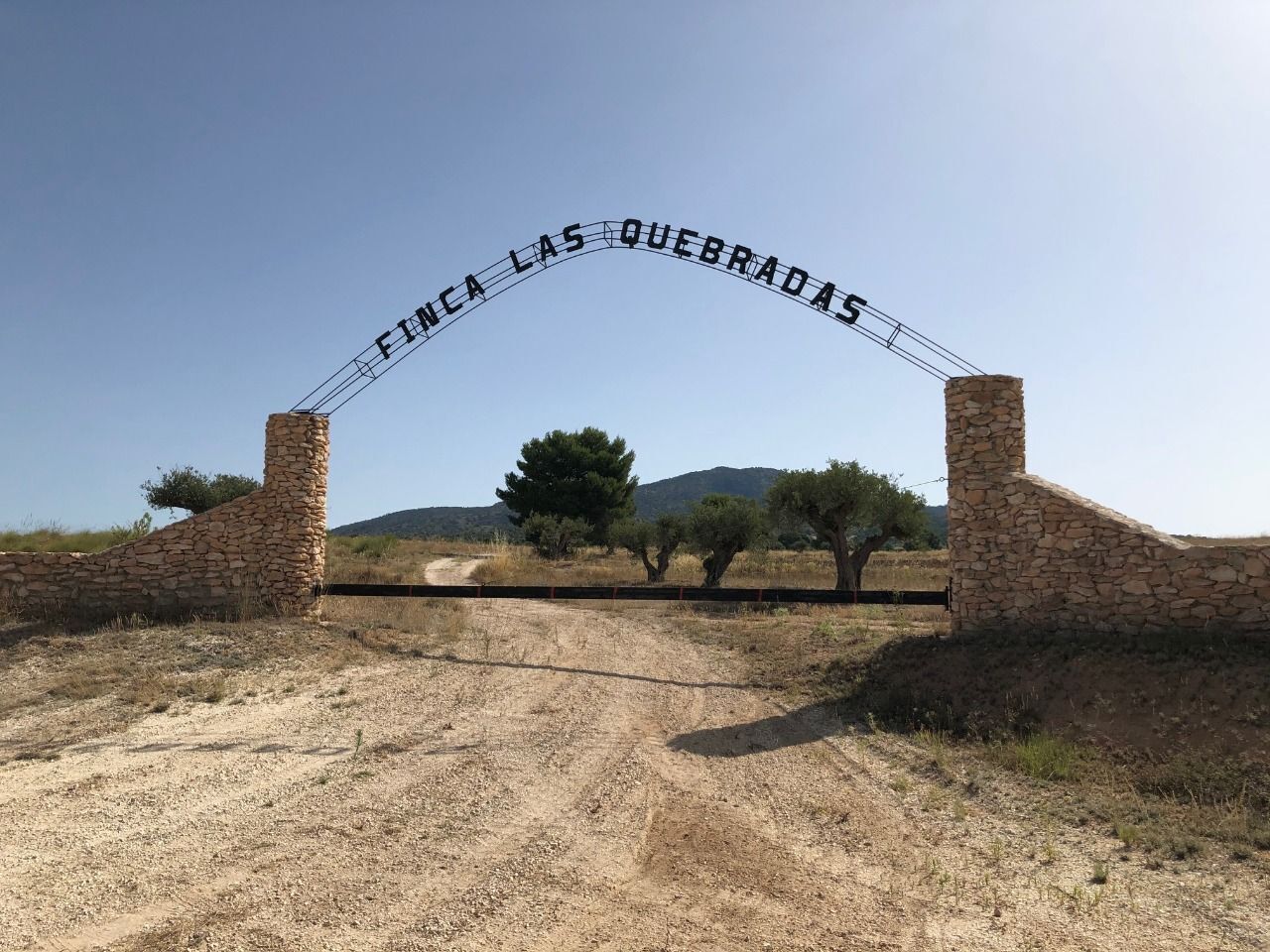 Land in Yecla for sale Building Photo- Image 1 of 49