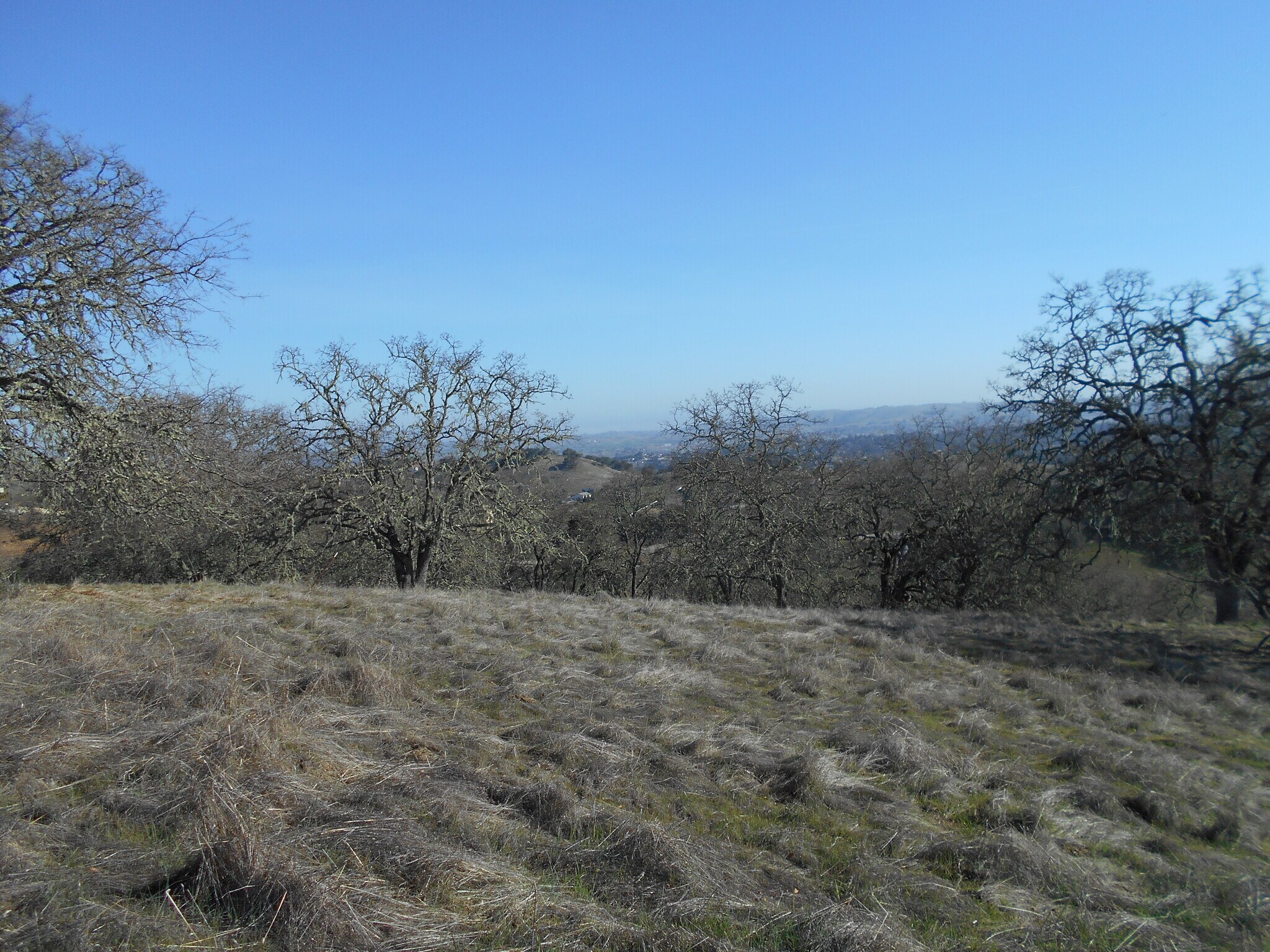 9900 Serrijon Rd, Atascadero, CA for sale Building Photo- Image 1 of 1