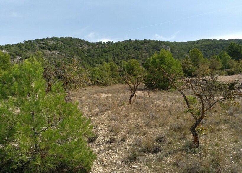 Land in Abanilla for sale - Building Photo - Image 3 of 8