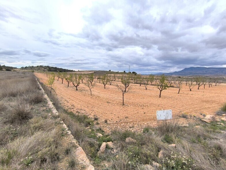 Land in Yecla for sale - Building Photo - Image 2 of 3