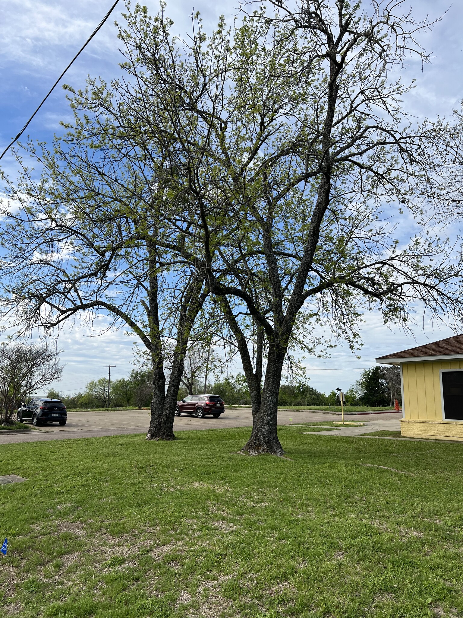 Bryan Tx News - frqvq3u