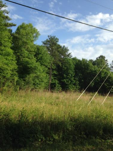 Old Fairview Rd, Fountain Inn, SC for sale Primary Photo- Image 1 of 1