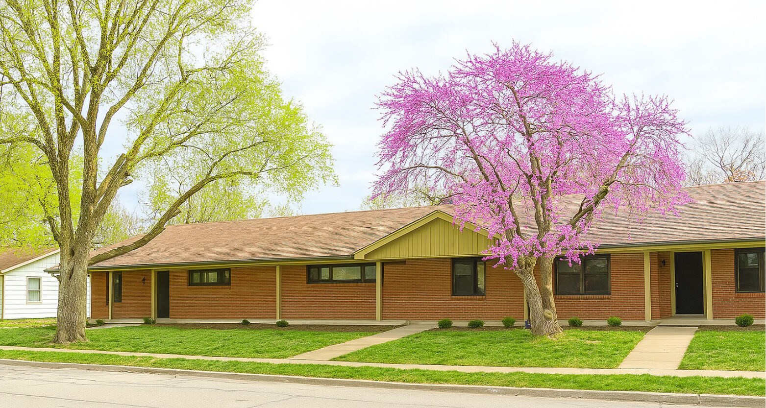 108 E Cedar St, Olathe, KS for sale Primary Photo- Image 1 of 1
