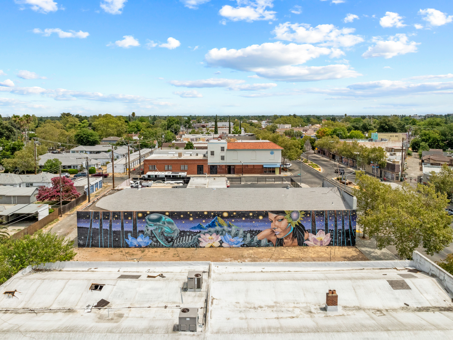 1721 Del Paso Blvd, Sacramento, CA for sale Aerial- Image 1 of 48