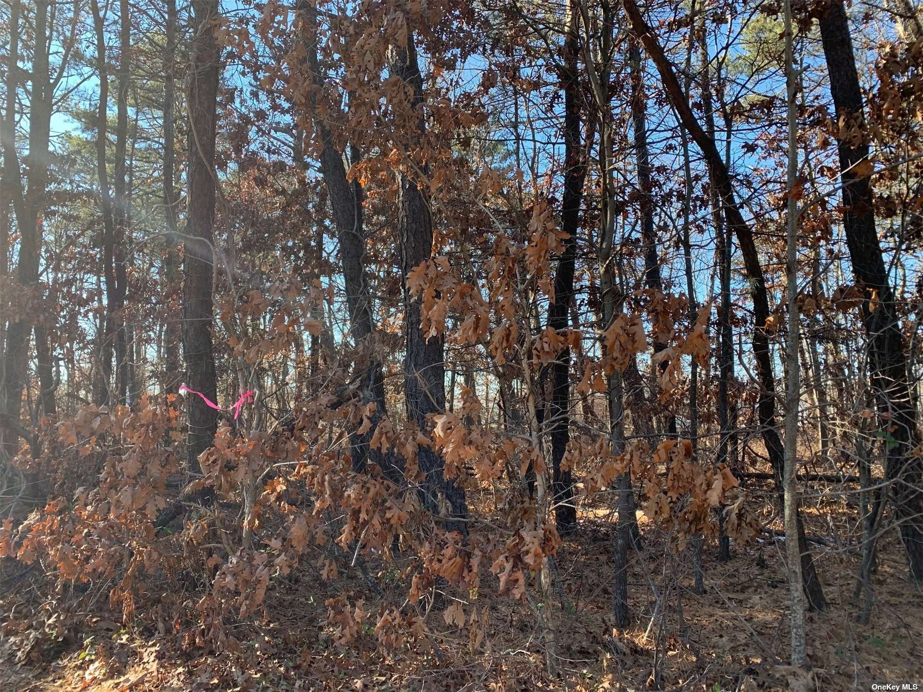 VL Mastic Rd, Mastic Beach, NY 11951 Land for Sale