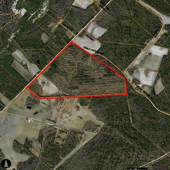 0 Causey Rd, Nichols, SC for sale - Building Photo - Image 1 of 1