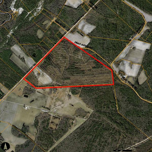 0 Causey Rd, Nichols, SC for sale Building Photo- Image 1 of 1