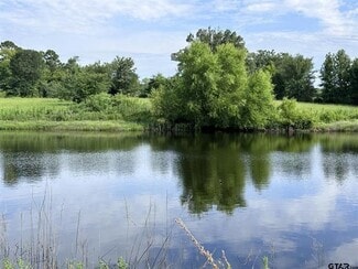 More details for 2096 FM 21, Pittsburg, TX - Land for Sale