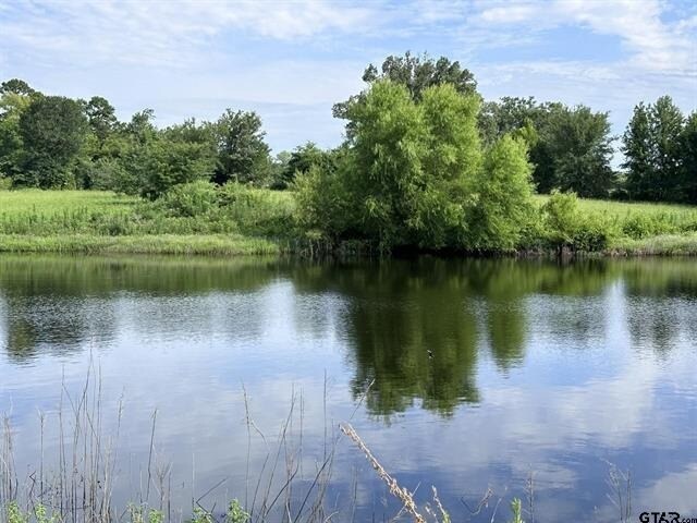 2096 FM 21, Pittsburg, TX for sale Primary Photo- Image 1 of 13