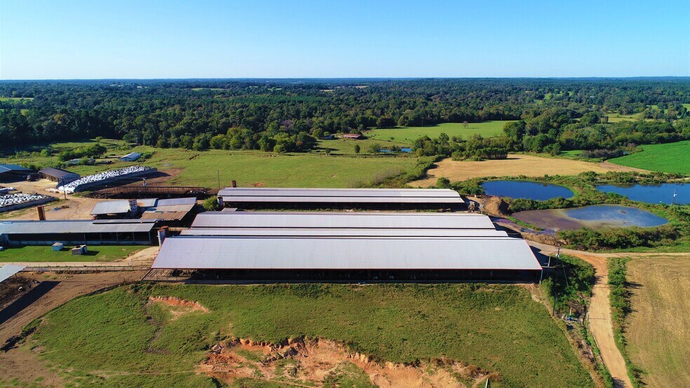 248 County Road 4310, Winnsboro, TX for sale - Building Photo - Image 1 of 1