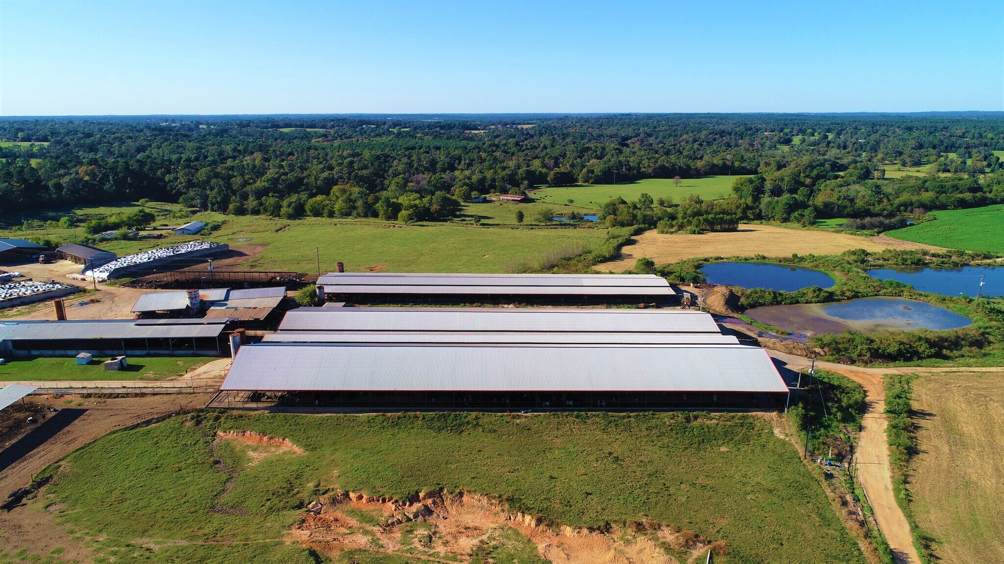 248 County Road 4310, Winnsboro, TX for sale Building Photo- Image 1 of 1