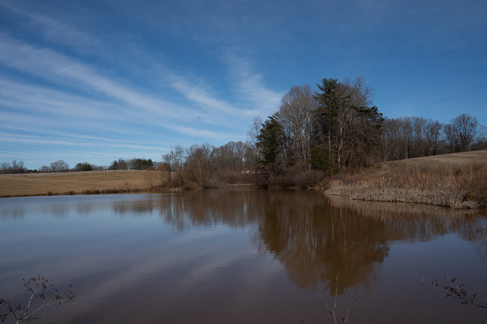 Pine Ridge Rd, Mount Airy, NC for sale Primary Photo- Image 1 of 16