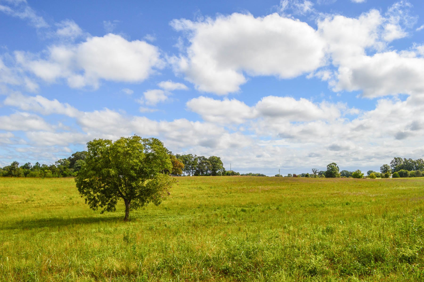 0 Old Burnett Rd, Boiling Springs, SC for sale Other- Image 1 of 1