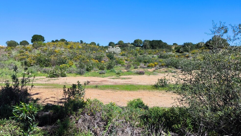 Land in Ayamonte, Huelva for sale - Building Photo - Image 1 of 13