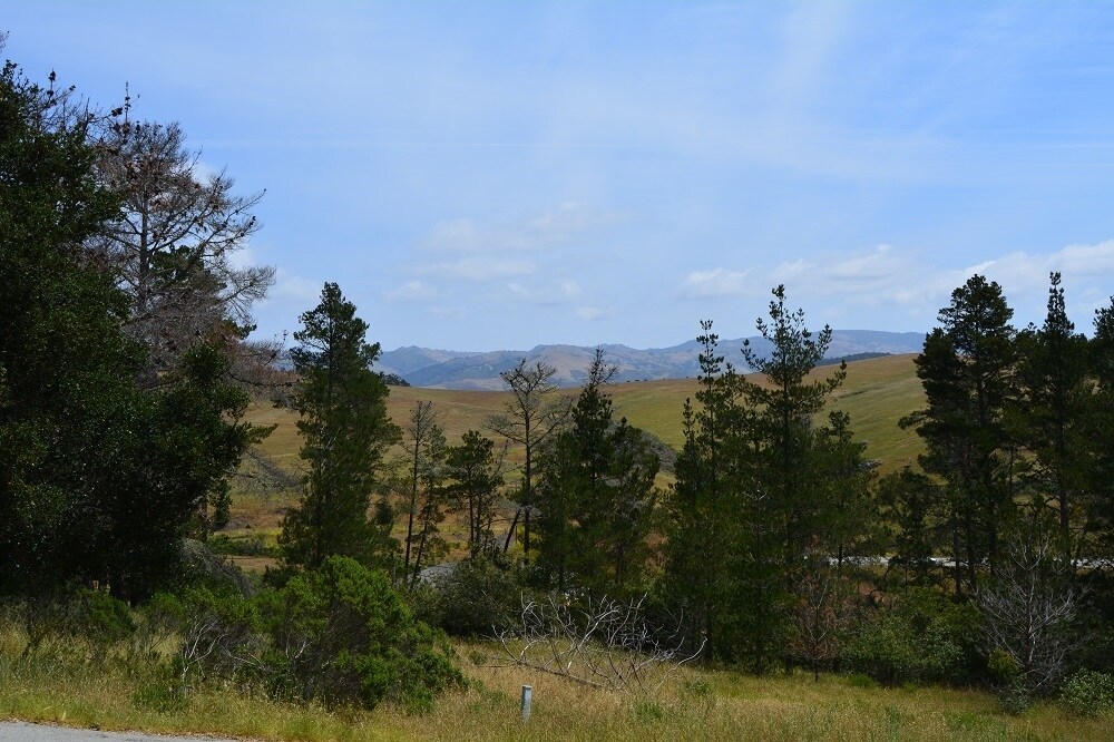 1870 Londonderry Ln, Cambria, CA for sale Building Photo- Image 1 of 1