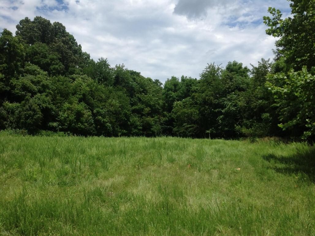 Alum Ridge Rd, Floyd, VA for sale Other- Image 1 of 1