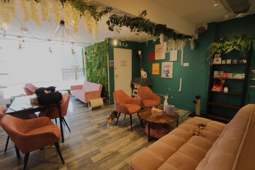 7-11 High St, Halstead for lease - Interior Photo - Image 2 of 11