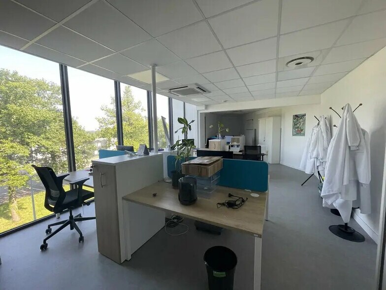 Office in Caudan for lease - Interior Photo - Image 2 of 12